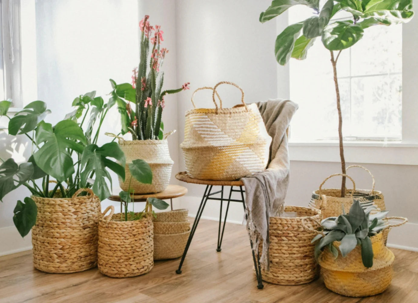 Top 5 Trendy Ways to Decorate with Wicker Plant Baskets – Artera Home