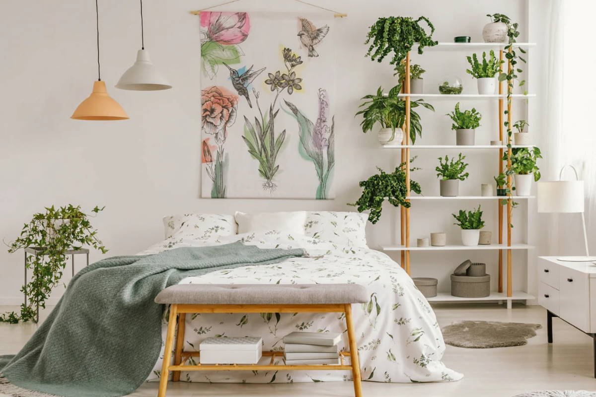 Top 10 Bedroom Plant Decor Ideas For A Tranquil Space – Artera Home
