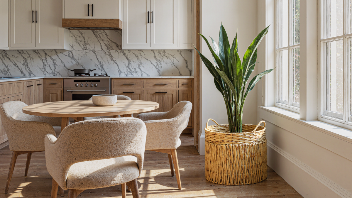 10 Best Pots for Indoor Plants with Timeless Artisan Style