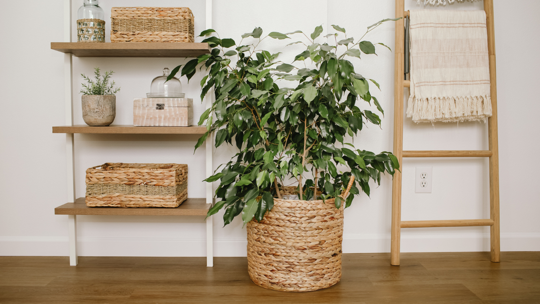 How to Blend Biophilic Design and Boho for a Serene Space