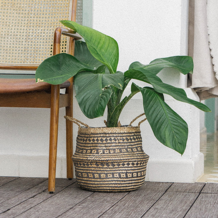 A-black-patterned-seagrass-large-planter-vase-placed-outside-the-house-near-a-chair