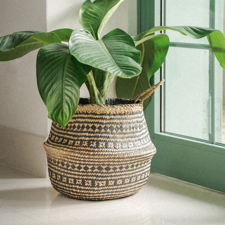 A-black-patterned-wicker-planter-vase-placed-next-to-the-green-door