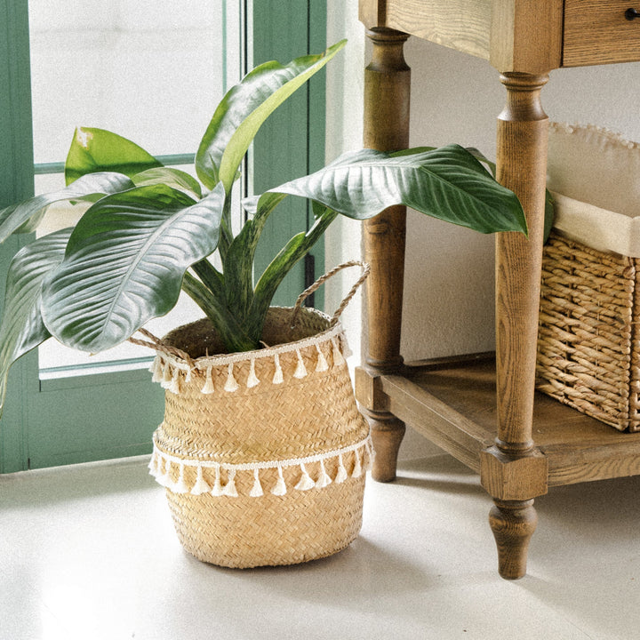 A-light-brown-seagrass-wicker-planter-vase-with-tasseled-accents-blend-seamlessly-into-cozy-home-decor