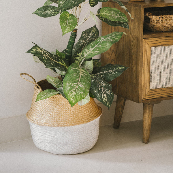 Seagrass-woven-planter-vase-in-beige-and-white-holding-a-lush-green-plant-next-to-a-wooden-furniture-piece