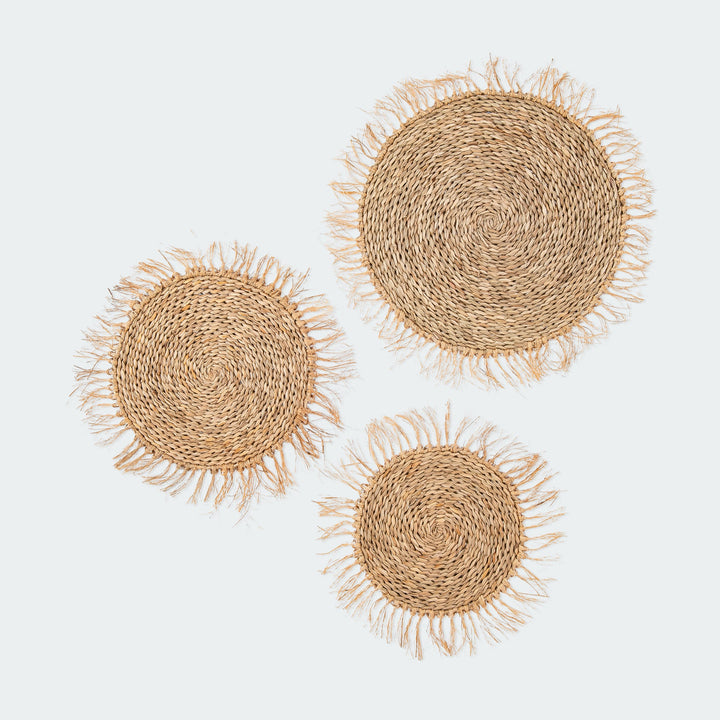 Fringe Circular Seagrass Wall Basket Set of 3 by Artera Home