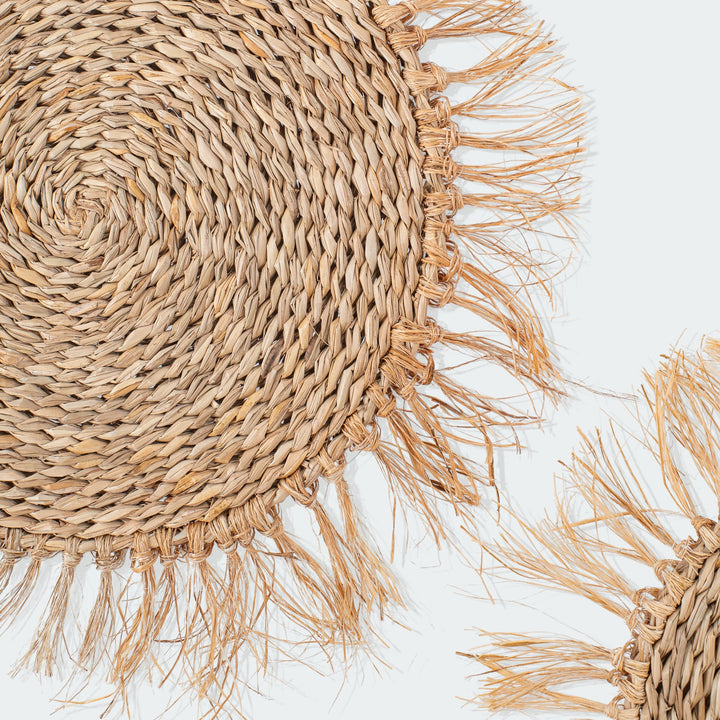 Fringe Circular Seagrass Wall Basket Set of 3 by Artera Home