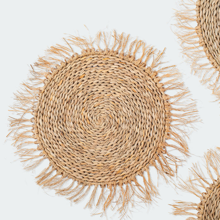 Fringe Circular Seagrass Wall Basket Set of 3 by Artera Home