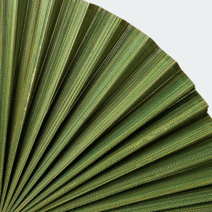 Moss Green Bamboo Folding Fan Wall Decor from Artera Home