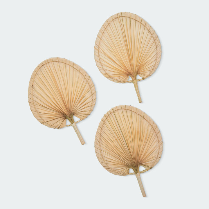 Set of 3 neutral bamboo fan wall decor, simple yet elegant design by Artera Home.