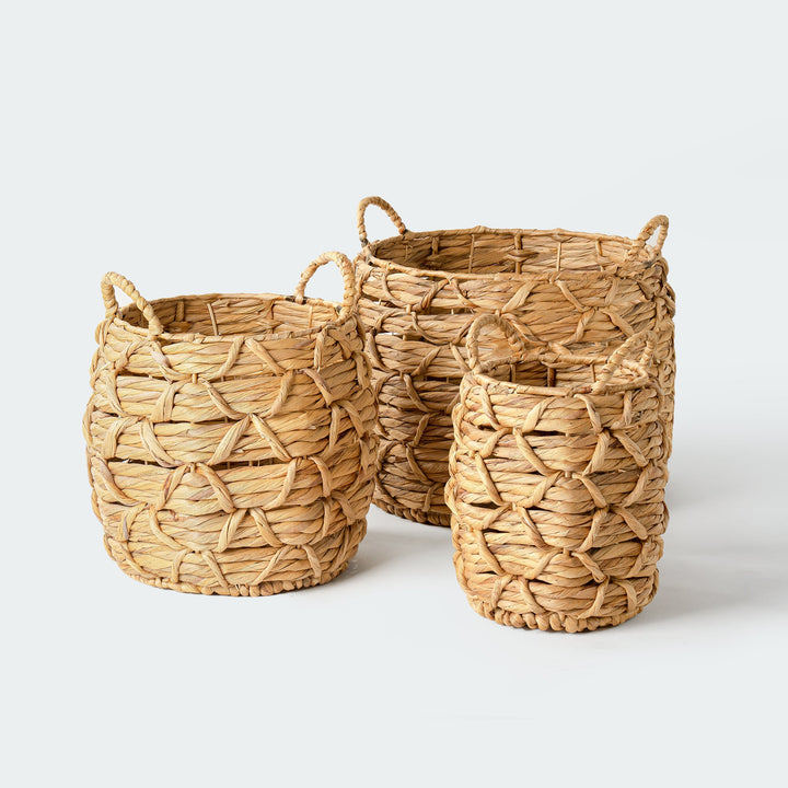 Twisted-round-water-hyacinth-wicker-storage-baskets-holding-a-tall-green-plant-flowers-blankets