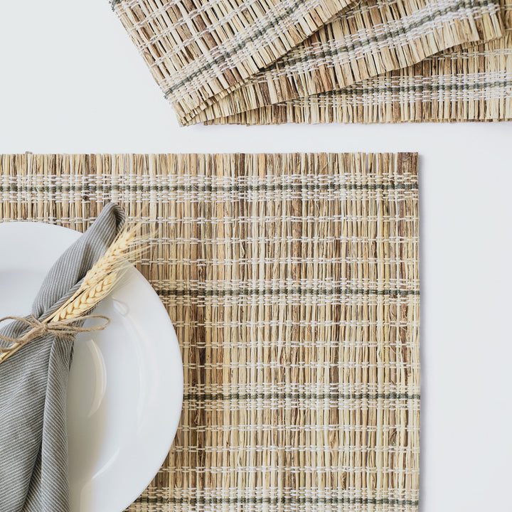 White Stripe Rectangular Seagrass Woven Placemat Set Of 6 by Artera Home