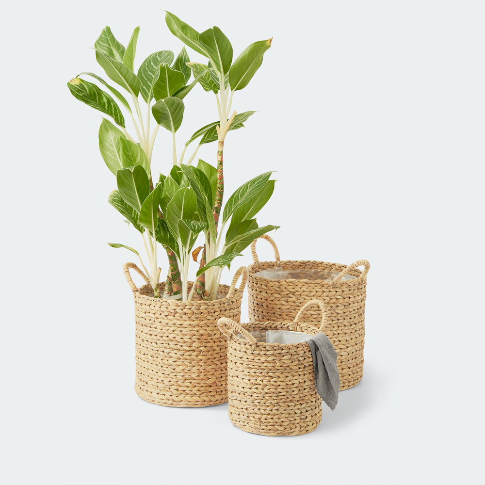 artera home plant wicker basket